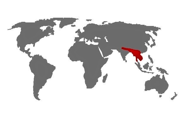 Mapa výskytu - Alexander ružovoprsý (Psittacula alexandri)
